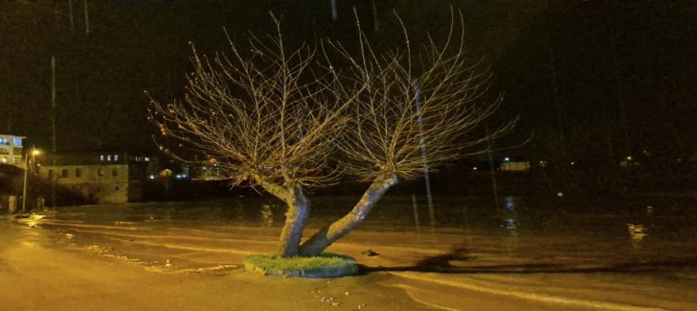 Bartın'da yağış ırmağı taşırdı