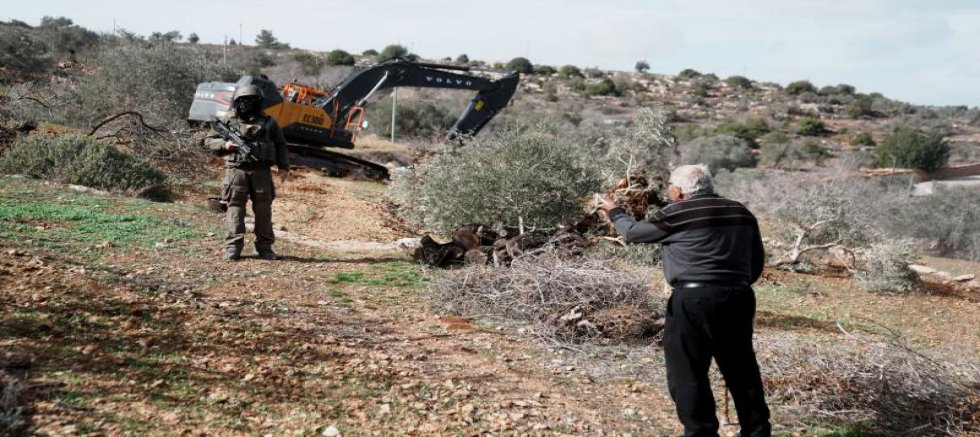 Filistin: İsrail geçen yıl Batı Şeria'da 685 çevre ihlali gerçekleştirdi