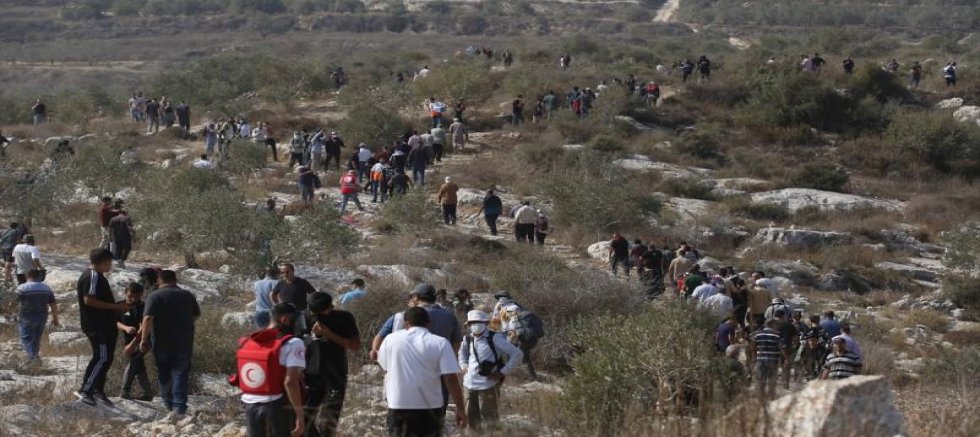Katil İsrail'in Batı Şeria’daki saldırıları 11 Filistinli aileyi yerinden etti