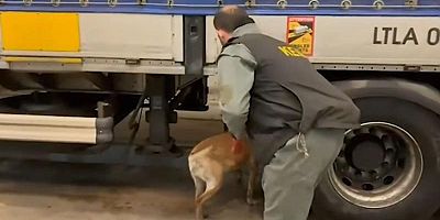 75 ilde narkotik operasyonu: 958 kilo uyuşturucu ele geçirildi