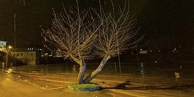 Bartın'da yağış ırmağı taşırdı