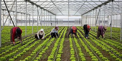 Bölgesel kalkınma için 15,6 milyar liralık yatırım yapılacak