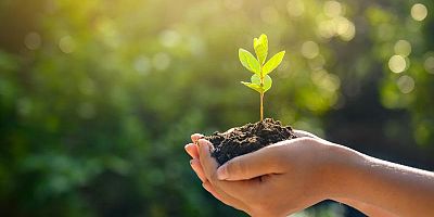 Erzurum'da 'Uzlaştırma Ormanı' oluşturulacak