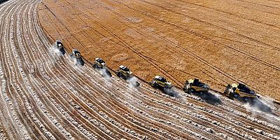 Hazine destekli kredilerde şartlar neler? 5 soru 5 cevap