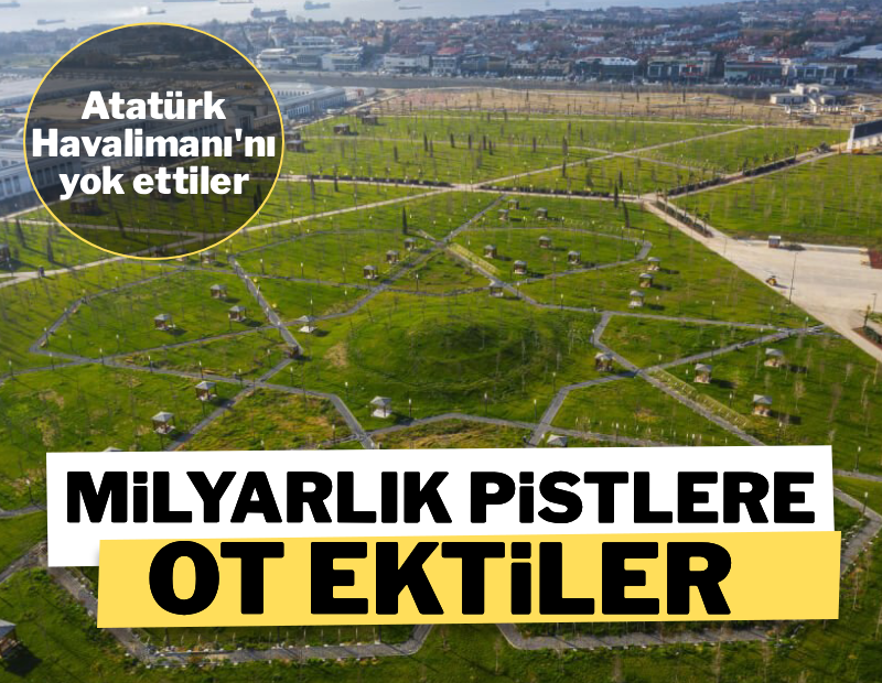 Milyarlık pistlere ot ektiler