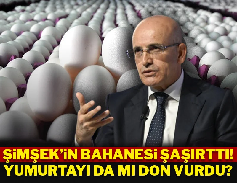 Şimşek'in bahanesi şaşırttı! Yumurtayı da mı don vurdu!