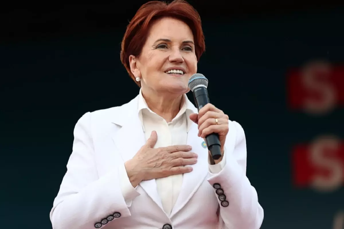 Siyasetten çekilen Meral Akşener sessizliğini bozdu