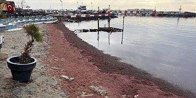 Tekirdağ'da sahil kırmızıya büründü