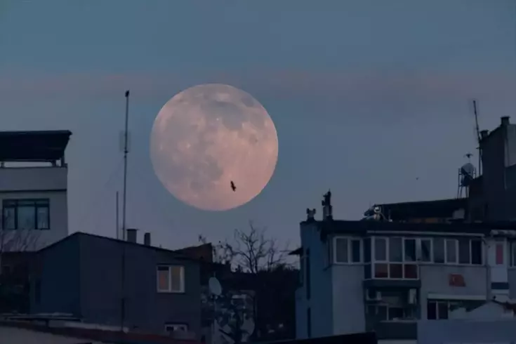 Van'da çekildi, herkes bu kareyi paylaşıyor